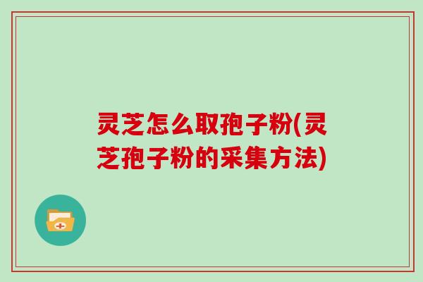 灵芝怎么取孢子粉(灵芝孢子粉的采集方法)