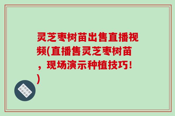 灵芝枣树苗出售直播视频(直播售灵芝枣树苗,现场演示种植技巧!) 灵芝枣树苗出售直播视频(直播售灵芝枣树苗,现场演示种植技巧!)