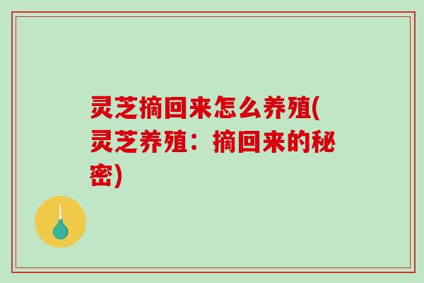 灵芝摘回来怎么养殖(灵芝养殖:摘回来的秘密) 灵芝摘回来怎么养殖(灵芝养殖:摘回来的秘密)