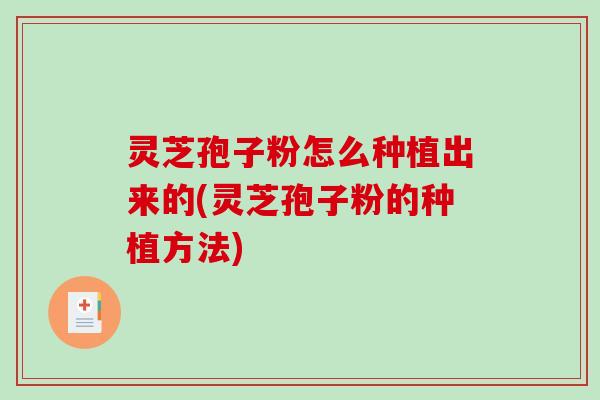 灵芝孢子粉怎么种植出来的(灵芝孢子粉的种植方法)