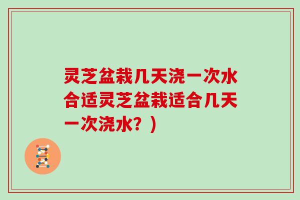 灵芝盆栽几天浇一次水合适灵芝盆栽适合几天一次浇水?) 灵芝盆栽几天浇一次水合适灵芝盆栽适合几天一次浇水?)
