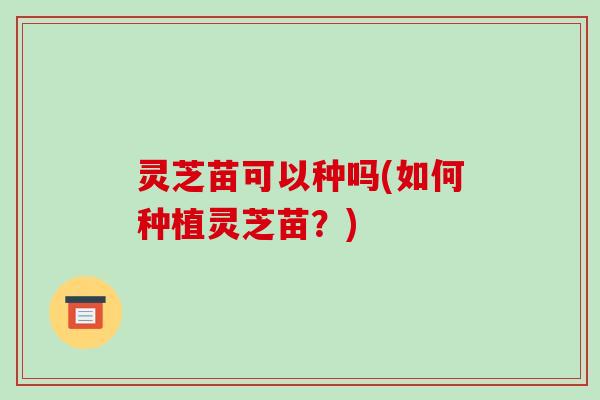 灵芝苗可以种吗(如何种植灵芝苗？)