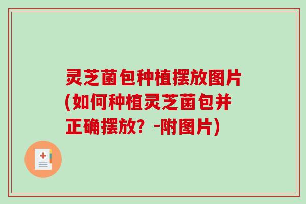 灵芝菌包种植摆放图片(如何种植灵芝菌包并正确摆放？-附图片)