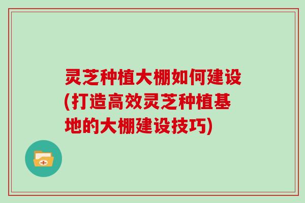 灵芝种植大棚如何建设(打造高效灵芝种植基地的大棚建设技巧)