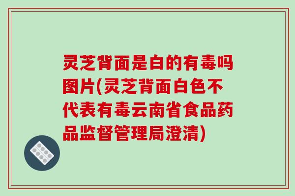 灵芝背面是白的有毒吗图片(灵芝背面白色不代表有毒云南省食品药品监督管理局澄清)