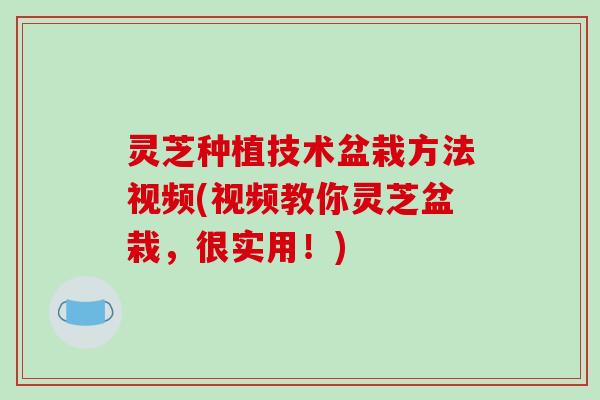 灵芝种植技术盆栽方法视频(视频教你灵芝盆栽,很实用!) 灵芝种植技术盆栽方法视频(视频教你灵芝盆栽,很实用!)