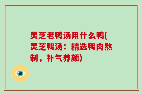 灵芝老鸭汤用什么鸭(灵芝鸭汤:精选鸭肉熬制,养颜) 灵芝老鸭汤用什么鸭(灵芝鸭汤:精选鸭肉熬制,养颜)