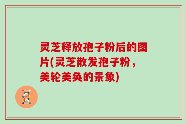 灵芝释放孢子粉后的图片(灵芝散发孢子粉，美轮美奂的景象)