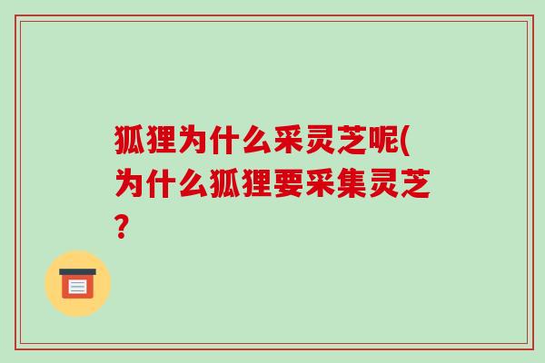 狐狸为什么采灵芝呢(为什么狐狸要采集灵芝？