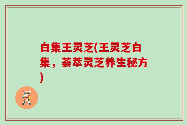 白集王灵芝(王灵芝白集,荟萃灵芝养生秘方) 白集王灵芝(王灵芝白集,荟萃灵芝养生秘方)