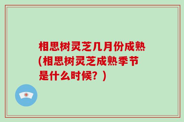 相思树灵芝几月份成熟(相思树灵芝成熟季节是什么时候？)