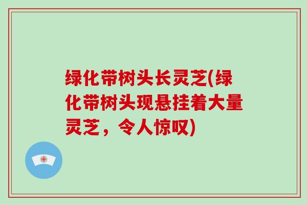 绿化带树头长灵芝(绿化带树头现悬挂着大量灵芝，令人惊叹)