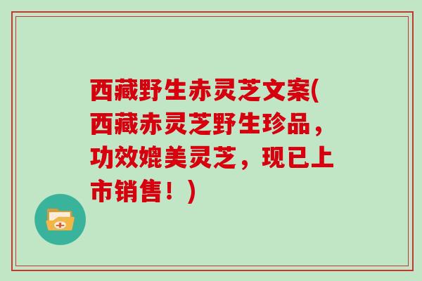 西藏野生赤灵芝文案(西藏赤灵芝野生珍品，功效媲美灵芝，现已上市销售！)