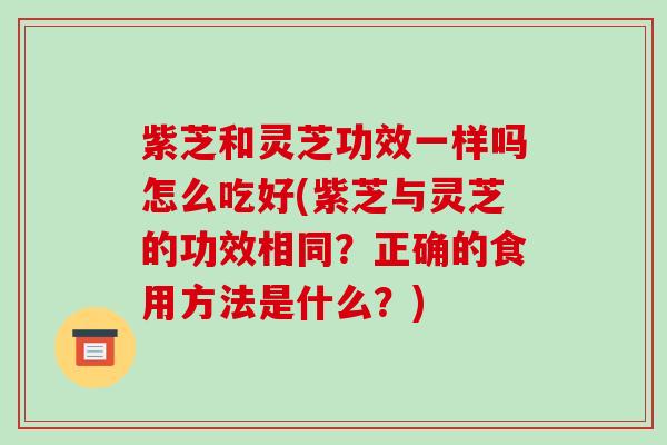 紫芝和灵芝功效一样吗怎么吃好(紫芝与灵芝的功效相同?正确的食用方法是什么?) 紫芝和灵芝功效一样吗怎么吃好(紫芝与灵芝的功效相同?正确的食用方法是什么?)