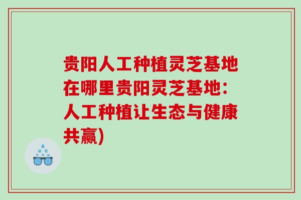 贵阳人工种植灵芝基地在哪里贵阳灵芝基地:人工种植让生态与健康共赢) 贵阳人工种植灵芝基地在哪里贵阳灵芝基地:人工种植让生态与健康共赢)