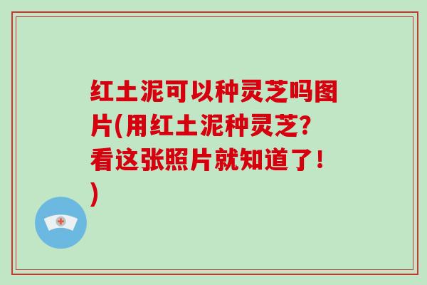 红土泥可以种灵芝吗图片(用红土泥种灵芝？看这张照片就知道了！)