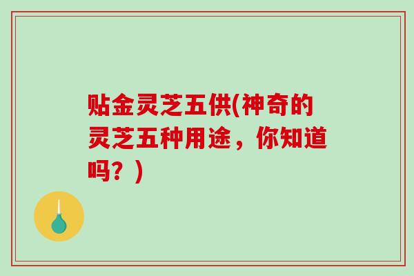 贴金灵芝五供(神奇的灵芝五种用途，你知道吗？)