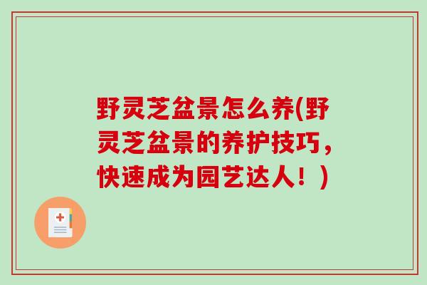野灵芝盆景怎么养(野灵芝盆景的养护技巧,快速成为园艺达人!) 野灵芝盆景怎么养(野灵芝盆景的养护技巧,快速成为园艺达人!)