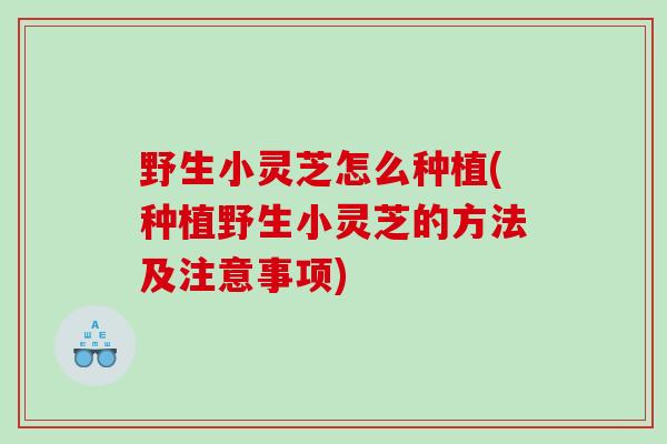 野生小灵芝怎么种植(种植野生小灵芝的方法及注意事项)