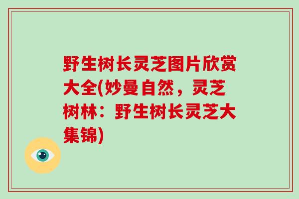 野生树长灵芝图片欣赏大全(妙曼自然，灵芝树林：野生树长灵芝大集锦)