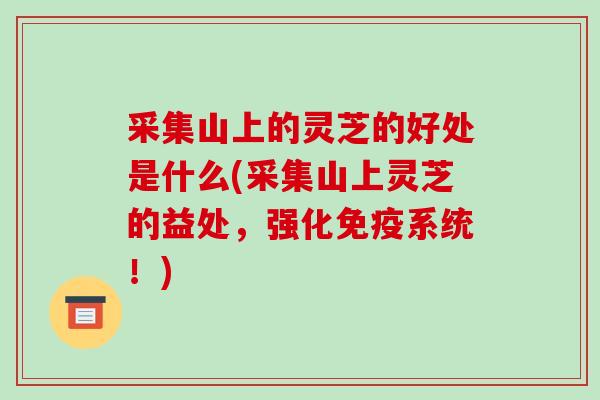 采集山上的灵芝的好处是什么(采集山上灵芝的益处,强化免疫系统!) 采集山上的灵芝的好处是什么(采集山上灵芝的益处,强化免疫系统!)