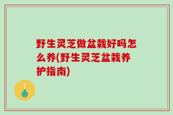 野生灵芝做盆栽好吗怎么养(野生灵芝盆栽养护指南)