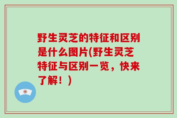 野生灵芝的特征和区别是什么图片(野生灵芝特征与区别一览,快来了解!) 野生灵芝的特征和区别是什么图片(野生灵芝特征与区别一览,快来了解!)