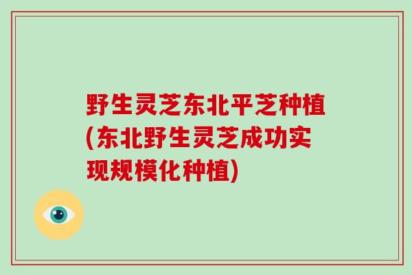 野生灵芝东北平芝种植(东北野生灵芝成功实现规模化种植)
