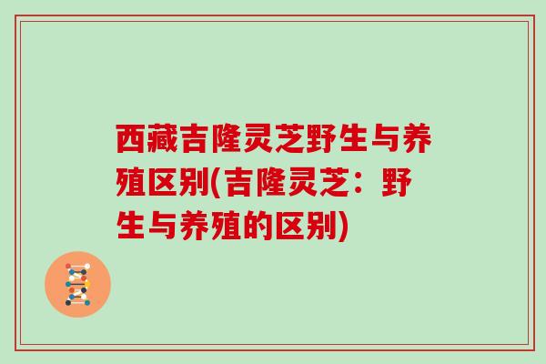 西藏吉隆灵芝野生与养殖区别(吉隆灵芝:野生与养殖的区别) 西藏吉隆灵芝野生与养殖区别(吉隆灵芝:野生与养殖的区别)