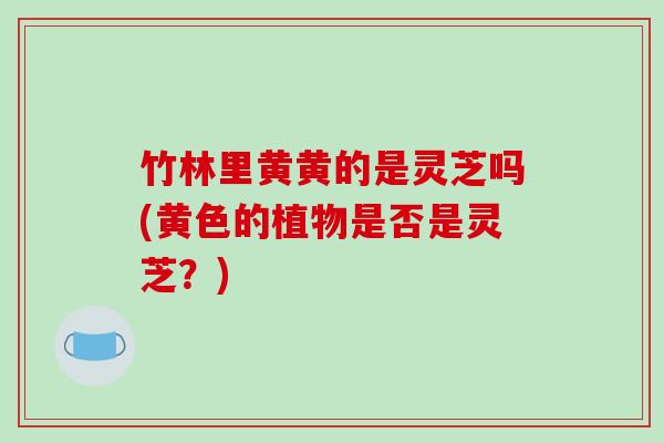 竹林里黄黄的是灵芝吗(黄色的植物是否是灵芝?) 竹林里黄黄的是灵芝吗(黄色的植物是否是灵芝?)