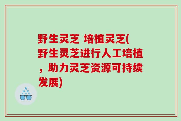 野生灵芝 培植灵芝(野生灵芝进行人工培植，助力灵芝资源可持续发展)