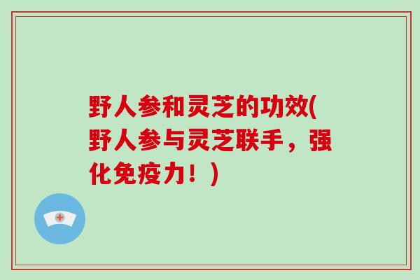 野人参和灵芝的功效(野人参与灵芝联手，强化免疫力！)