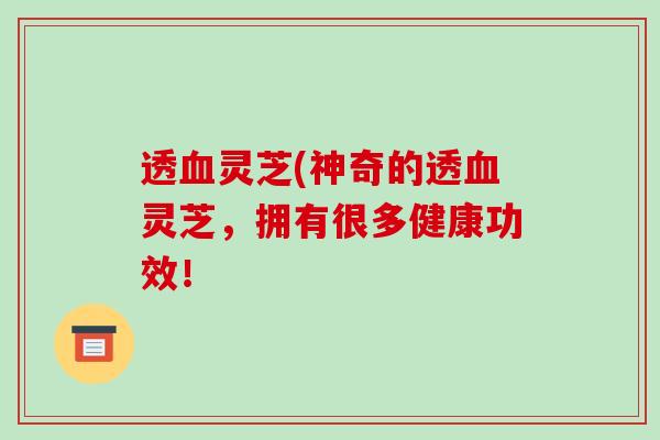 透灵芝(神奇的透灵芝,拥有很多健康功效! 透灵芝(神奇的透灵芝,拥有很多健康功效!