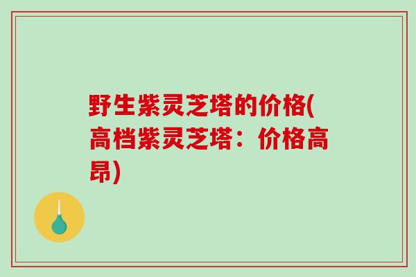 野生紫灵芝塔的价格(高档紫灵芝塔：价格高昂)