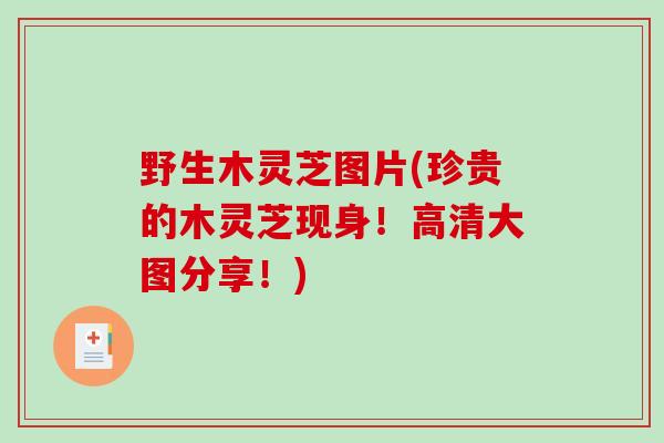 野生木灵芝图片(珍贵的木灵芝现身！高清大图分享！)