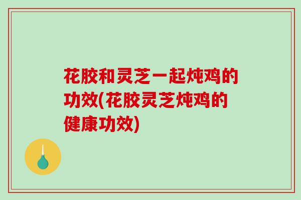 花胶和灵芝一起炖鸡的功效(花胶灵芝炖鸡的健康功效)
