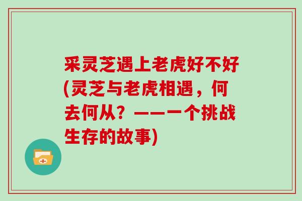 采灵芝遇上老虎好不好(灵芝与老虎相遇,何去何从?——一个挑战生存的故事) 采灵芝遇上老虎好不好(灵芝与老虎相遇,何去何从?——一个挑战生存的故事)