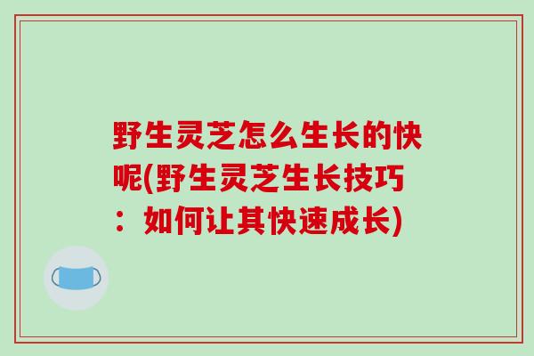 野生灵芝怎么生长的快呢(野生灵芝生长技巧：如何让其快速成长)