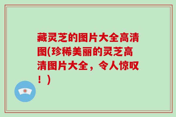 藏灵芝的图片大全高清图(珍稀美丽的灵芝高清图片大全,令人惊叹!) 藏灵芝的图片大全高清图(珍稀美丽的灵芝高清图片大全,令人惊叹!)