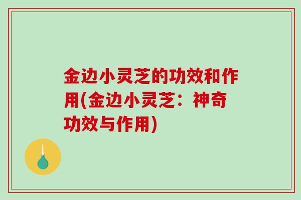 金边小灵芝的功效和作用(金边小灵芝:神奇功效与作用) 金边小灵芝的功效和作用(金边小灵芝:神奇功效与作用)