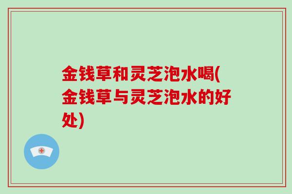 金钱草和灵芝泡水喝(金钱草与灵芝泡水的好处) 金钱草和灵芝泡水喝(金钱草与灵芝泡水的好处)