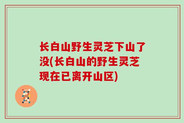长白山野生灵芝下山了没(长白山的野生灵芝现在已离开山区) 长白山野生灵芝下山了没(长白山的野生灵芝现在已离开山区)