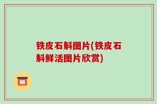 铁皮石斛图片(铁皮石斛鲜活图片欣赏) 铁皮石斛图片(铁皮石斛鲜活图片欣赏)