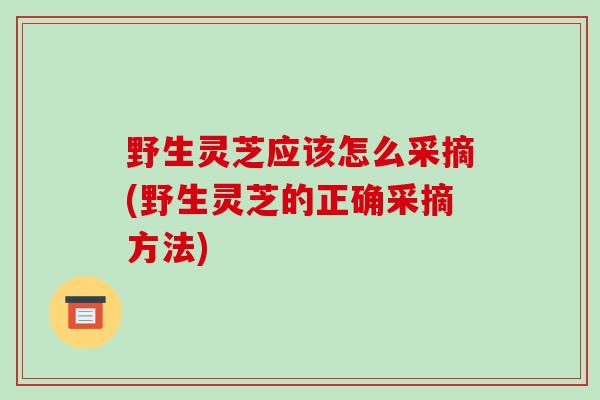 野生灵芝应该怎么采摘(野生灵芝的正确采摘方法) 野生灵芝应该怎么采摘(野生灵芝的正确采摘方法)