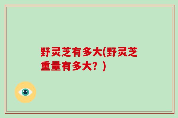 野灵芝有多大(野灵芝重量有多大?) 野灵芝有多大(野灵芝重量有多大?)