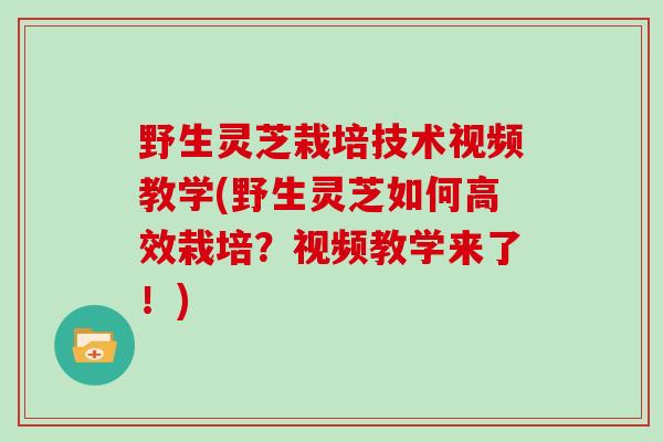 野生灵芝栽培技术视频教学(野生灵芝如何高效栽培?视频教学来了!) 野生灵芝栽培技术视频教学(野生灵芝如何高效栽培?视频教学来了!)