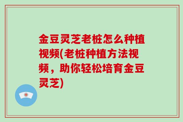 金豆灵芝老桩怎么种植视频(老桩种植方法视频,助你轻松培育金豆灵芝) 金豆灵芝老桩怎么种植视频(老桩种植方法视频,助你轻松培育金豆灵芝)