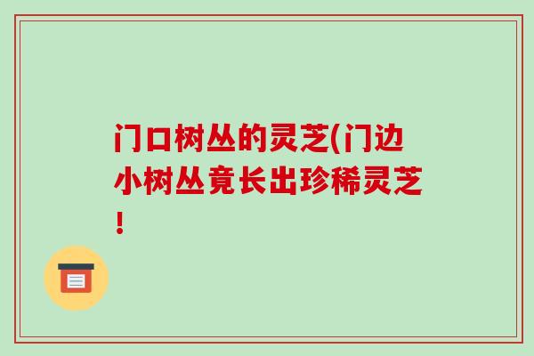 门口树丛的灵芝(门边小树丛竟长出珍稀灵芝! 门口树丛的灵芝(门边小树丛竟长出珍稀灵芝!