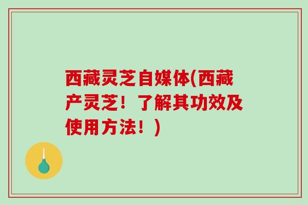 西藏灵芝自媒体(西藏产灵芝！了解其功效及使用方法！)